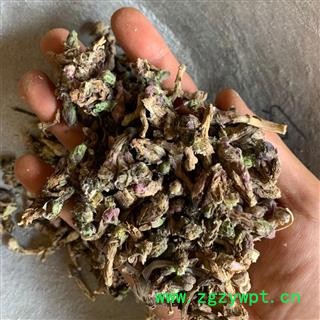 款冬花 款冬花统货 产地直供中药材批发 甘肃省定西市陇西县图2