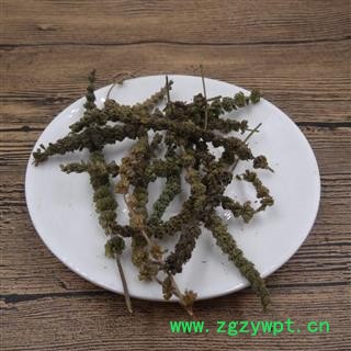 小丽百草行荆芥穗 芥穗 香荆荠 线荠 四棱杆蒿 假苏今年新货图2