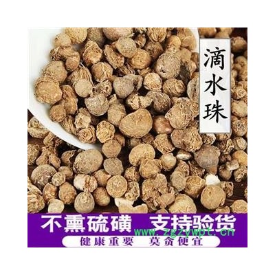中药材滴水珠 水滴珠 一滴珠 白铃子 独龙珠