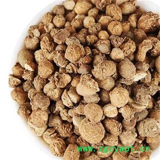 中药材滴水珠 水滴珠 一滴珠 白铃子 独龙珠图3