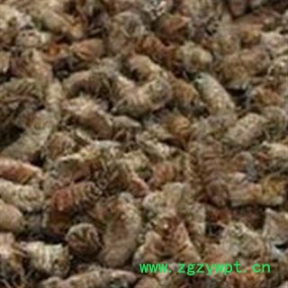 原蚕蛾 万信药业！雄蚕蛾统货 无霉无变质 地道好货 因为多次晾晒，蚕蛾翅膀与身体多分离 地道药材 假一赔十 产地 辽宁省图3