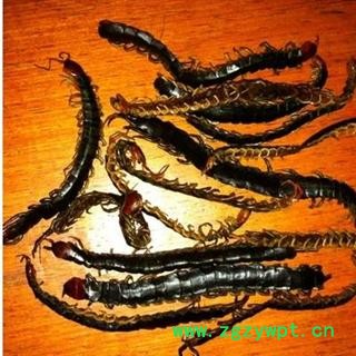 蜈蚣不插竹签 统 产地 湖北省荆门市市辖区图2