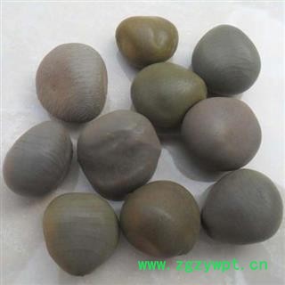 大托叶云实 正品保证质量7天无理由退货退款 安品堂图2