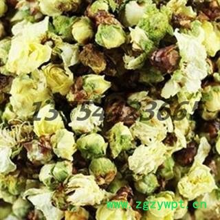 梅花 统 绿梅花 产地 山西省安国市场批发零售大全图2