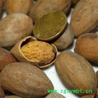 榧子仁 正品保证质量7天无理由退货退款 华安堂图4