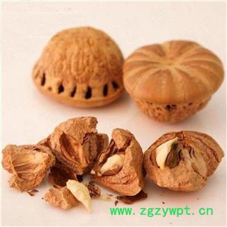 风流果 壮阳果 龟头子正品保证质量 中药材批发 丽丽药业图3