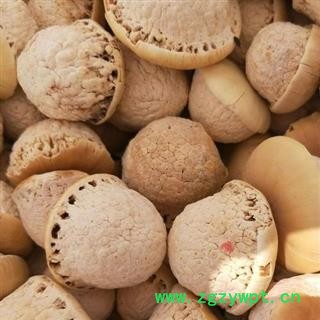 风流果 壮阳果 龟头子正品保证质量 中药材批发 丽丽药业图4