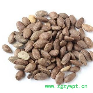 瓜蒌子 瓜蒌籽正品保证质量7天无理由退货退款 中药材批发 丽丽药业图4