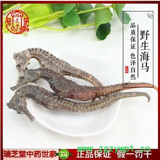 进口海马 2.5-3.5g条 选货 规格齐全 产地 印尼 瑞芝堂直销 药典正品 规格齐全 一站购齐图3