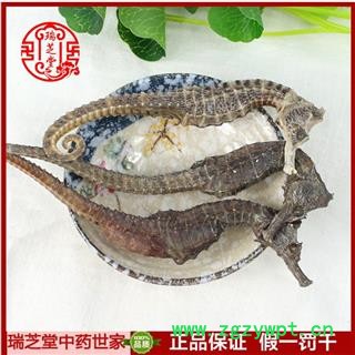 进口海马 2.5-3.5g条 选货 规格齐全 产地 印尼 瑞芝堂直销 药典正品 规格齐全 一站购齐图2