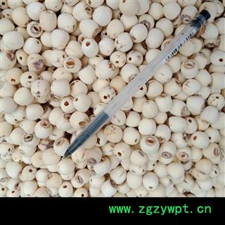 丽丽药业 白莲子去芯 中药材批发 白莲子正品保证实图拍照7天无理由退货退款图4