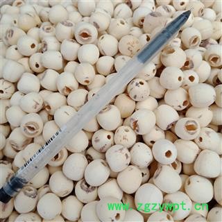 丽丽药业 白莲子去芯 中药材批发 白莲子正品保证实图拍照7天无理由退货退款图3