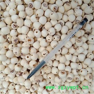 丽丽药业 白莲子去芯 中药材批发 白莲子正品保证实图拍照7天无理由退货退款图2