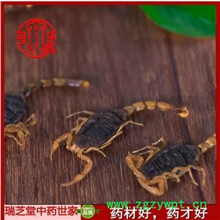 全蝎 山西陕西盐水全蝎秋货 药典正品 中药材 瑞芝堂产地直供1000克 规格齐全 一站购齐图3