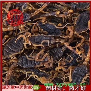 全蝎 山西陕西盐水全蝎秋货 药典正品 中药材 瑞芝堂产地直供1000克 规格齐全 一站购齐图4