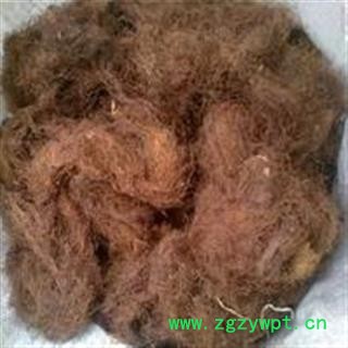 诺源药材行新货玉米须 龙须 玉米须茶图2