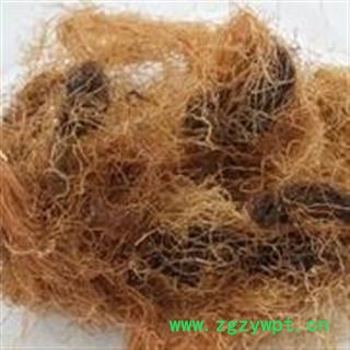 诺源药材行新货玉米须 龙须 玉米须茶图3