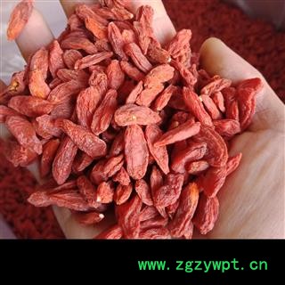 枸杞子 宁夏枸杞 大粒正品保证质量无理由退货退款 安品堂图4