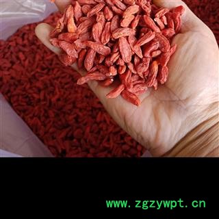 枸杞子 宁夏枸杞 大粒正品保证质量无理由退货退款 安品堂图2