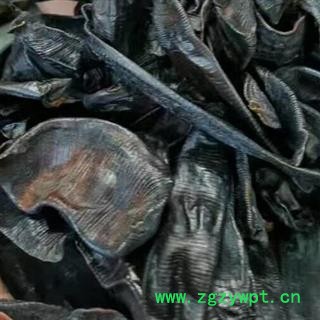 中药材水蛭别名蚂蟥 产地山东 品种齐全 安国中药材市场批发零售图2