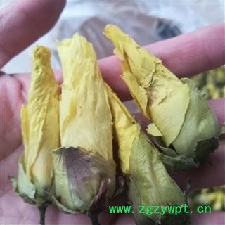 安祁名药黄蜀葵花  黄秋葵  侧金盏花 优质选货图2