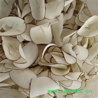 海底椰片 正品保证质量7天无理由退货退款 安品堂图4