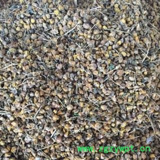 安祁名药正品野生野菊花图2