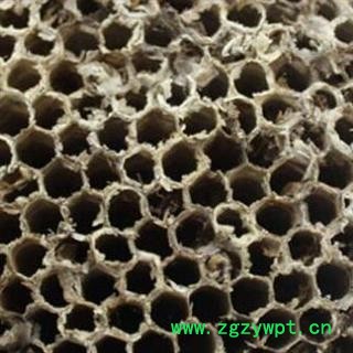 蜂房 软蜂房  大眼蜂房  马蜂窝统货 产地 河北省安国市场批发零售大全图2