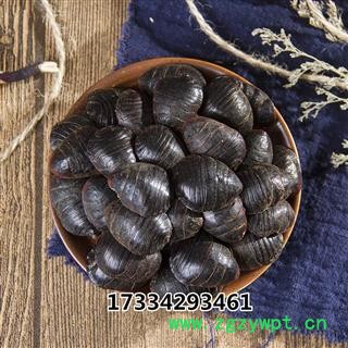 中药材 大土元虫 土鳖虫图2