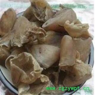 瑞森药材行猪蹄甲 生猪蹄甲产地河北图2
