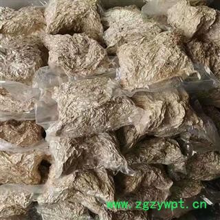 安祁名药玉簪花 白玉簪花  另有玉簪花根图2