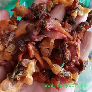 淡菜贻贝干淡菜海虹 生贻贝青口贝小海虹海珍贝类干品图2