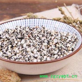 炒王不留行正品保证质量7天无理由退货退款 中药材批发丽丽药业图2