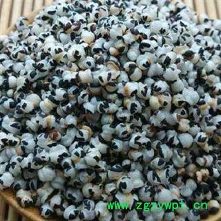 炒王不留行正品保证质量7天无理由退货退款 中药材批发丽丽药业图3