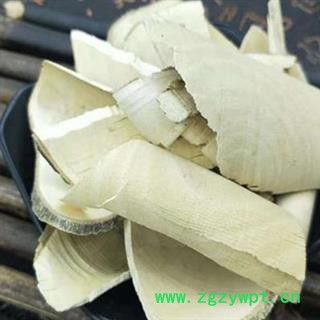 枸骨木 枸骨根 功劳根 正品保证质量7天无理由退货退款 安品堂图2