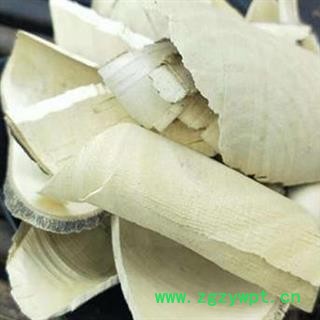 枸骨木 枸骨根 功劳根 正品保证质量7天无理由退货退款 安品堂图4