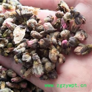 安祁名药桃花 无硫陈货图2