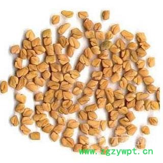 葫芦巴正品保证质量7天无理由退货退款 中药材批发 丽丽药业图3