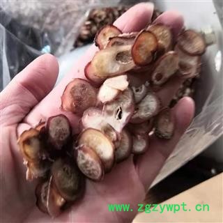 诺源药材行牛鞭  牛筋 另有鹿筋鹿鞭图4