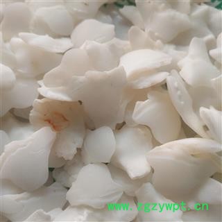 诺源药材行鱼脑石 鱼首石 鱼枕骨 石首鱼头石图2