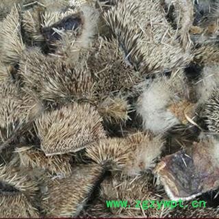 诺源药材行中药材正品刺猬皮  刺猬骨 刺猬针 规格齐全图2