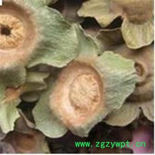 柿蒂 老柿蒂选货 地道药材  产地 山东省图2