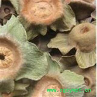 柿蒂 老柿蒂选货 地道药材  产地 山东省图3