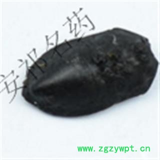 安祁名药九香虫 炒九香虫 产地 河南省图2