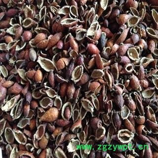 金樱子肉 金樱子去籽净货 产地 江西 华美中药 产地直销 重在品质图2