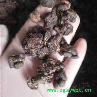 安祁名药正品五灵脂 糖灵脂 雪灵脂图2