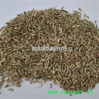 小茴香 小茴香净货 产地 甘肃省 华美中药 产地直销 重在品质图3