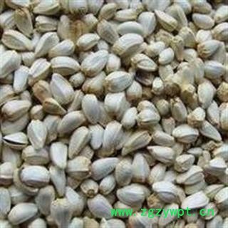 红花 红花籽 产地 新疆维吾尔自治区图2