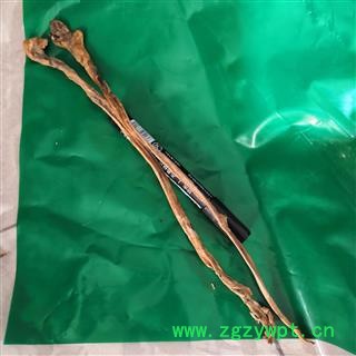 安祁名药羊鞭 牛鞭 驴鞭狗鞭蛇鞭图2