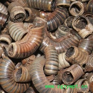 安祁名药正品优质马陆 千足虫图3